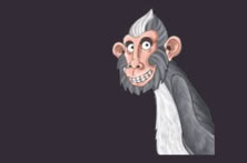 Monkey's Millions