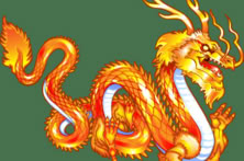 Dragon's Wild Fire