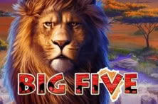 Big Five™