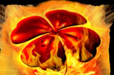 25 Red Hot Burning Clover Link™