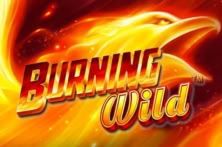 Burning Wild™