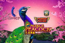 Power Prizes - Noble Peacock