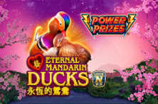 Power Prizes - Eternal Mandarin Ducks