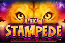 African Stampede