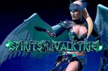 Spirits of the Valkyrie