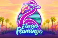 Electric Flamingo