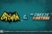Batman & Mr Freeze Fortune