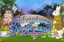 Adventures In Wonderland