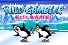 Wild Gambler: Arctic Adventure