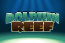 Dolphin Reef