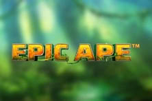 Epic Apeâ„¢ PA