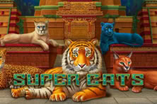 Super Cats