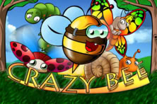 Crazy Bee