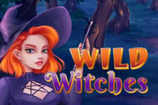 Wild Witches