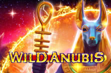 Wild Anubis