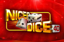 Nicer Dice 40
