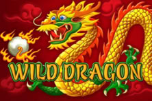 Wild Dragon Amatic
