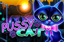 Pussy Cat