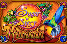 Sugar 'n' Spice