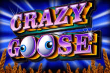Crazy Goose