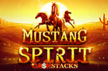 Mustang Spirit
