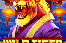 Wild Tiger