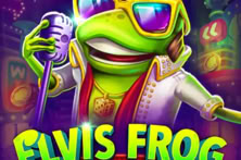 Elvis Frog In PlayAmo