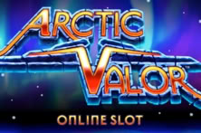 Arctic Valor™