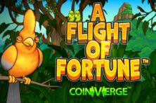 A Flight of Fortune™