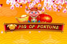 Pig Of Fortune