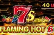 Flaming Hot 6 Reels