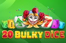 20 Bulky Dice