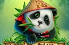 Little Panda