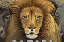 Safari