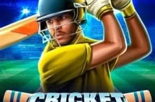 Cricket Heroes