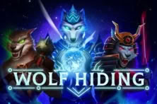 Wolf Hiding