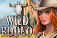 Wild Rodeo