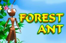 Forest Ant
