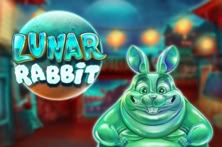 Lunar Rabbit