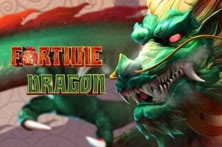 Fortune Dragon