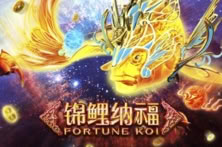 Fortune Koi