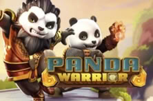 Panda Warrior