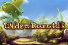 Wild and the Beanstalk