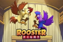 Rooster Fight