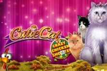 Cutie Cat Crazy Chicken Shooter