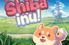 Shiba Inu