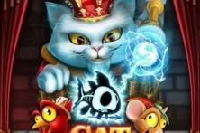 Cat Kingdom