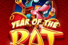 Year of the Rat