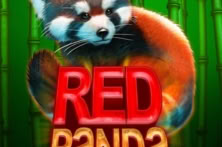 Red Panda Paradise