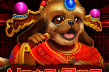Year of the Dog